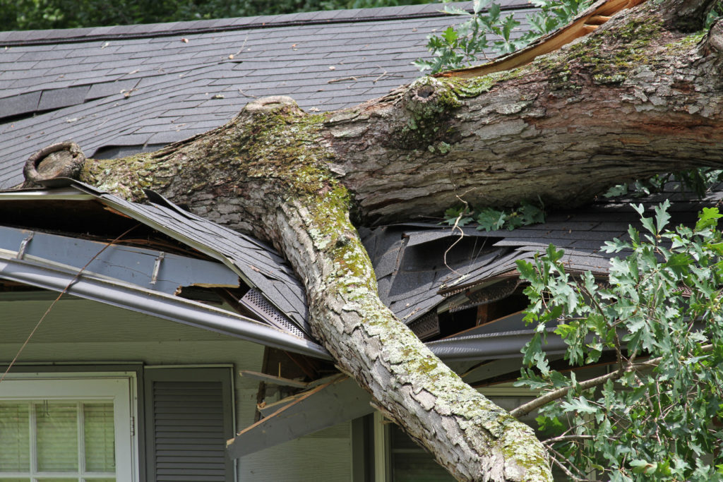 Image of severely damaged roof due to tree falling during storm.