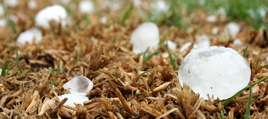 Large hail from a storm