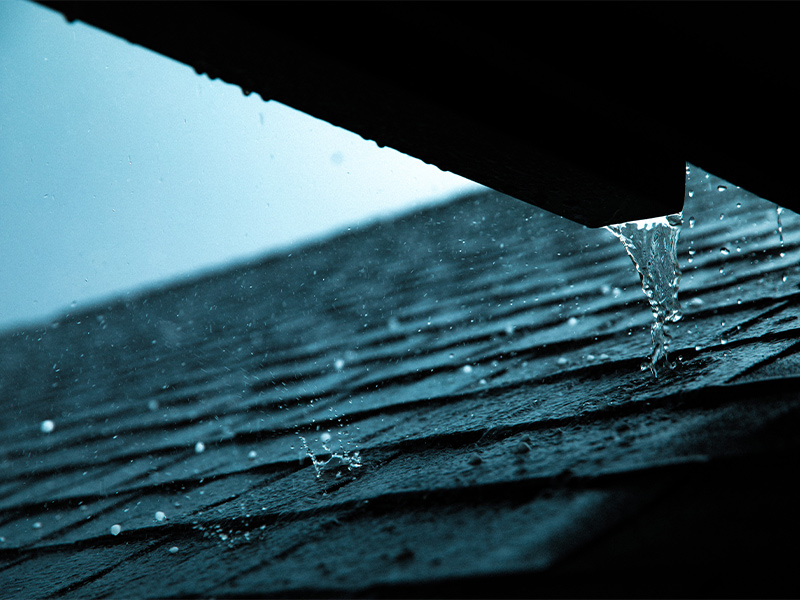 asphalt shingle roof replacement