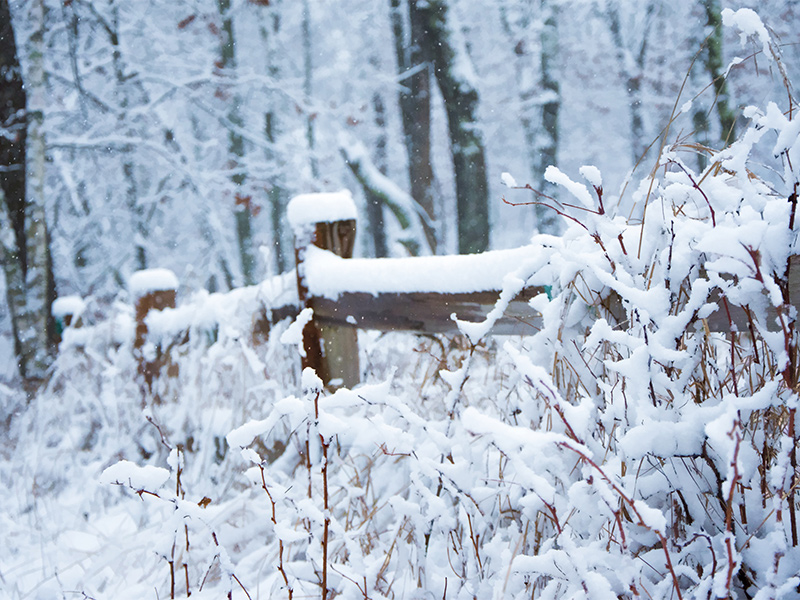 fresh snow on top of a fence post