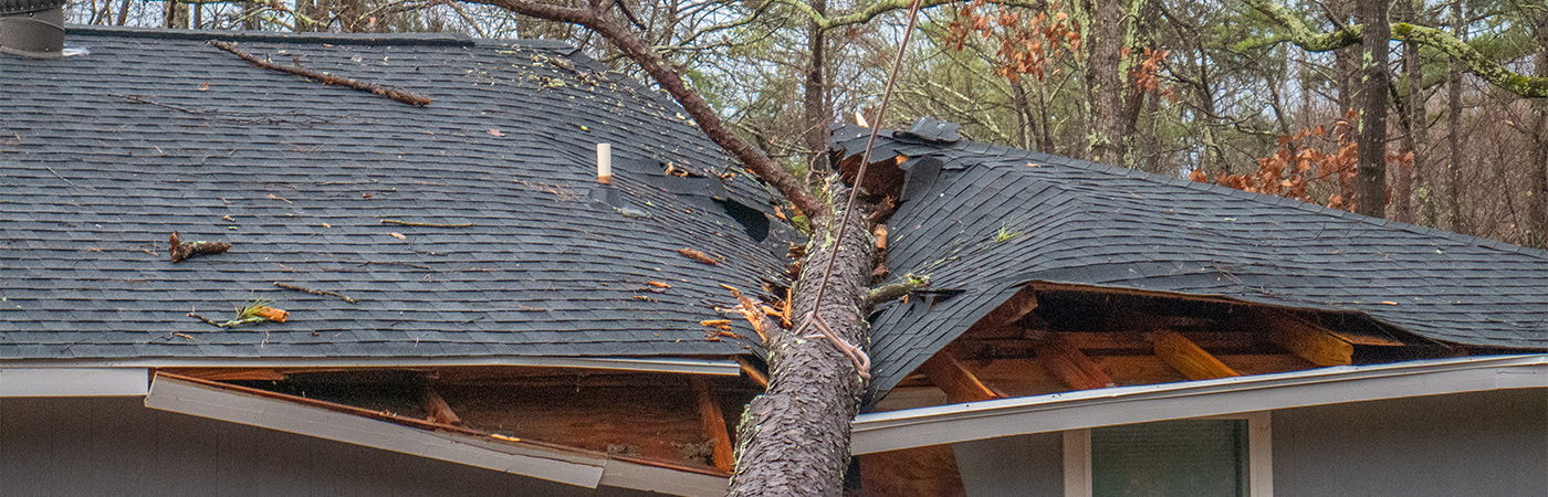 storm damage repair Farmington MN