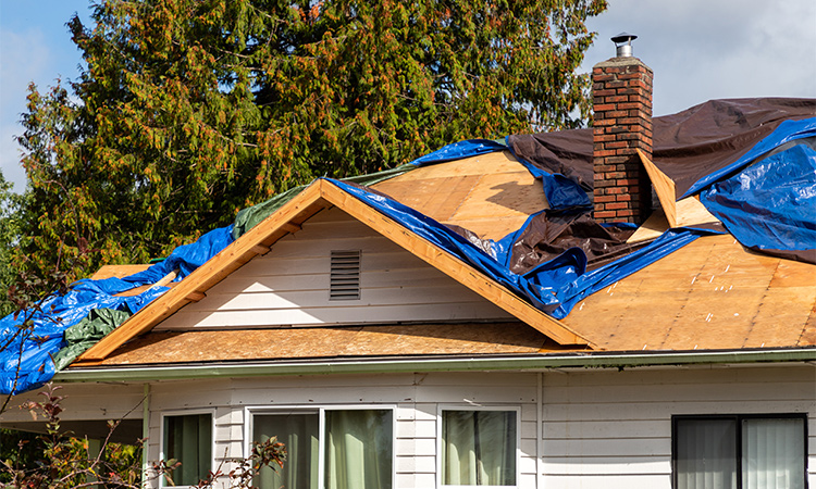 storm damage services in minnesota
