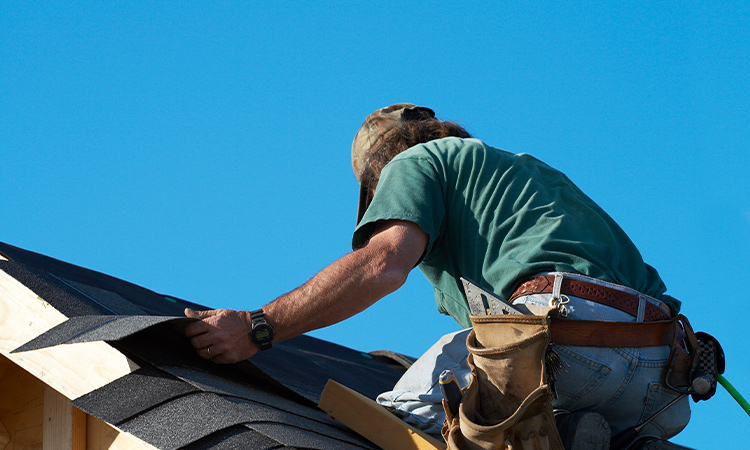 roof services near me