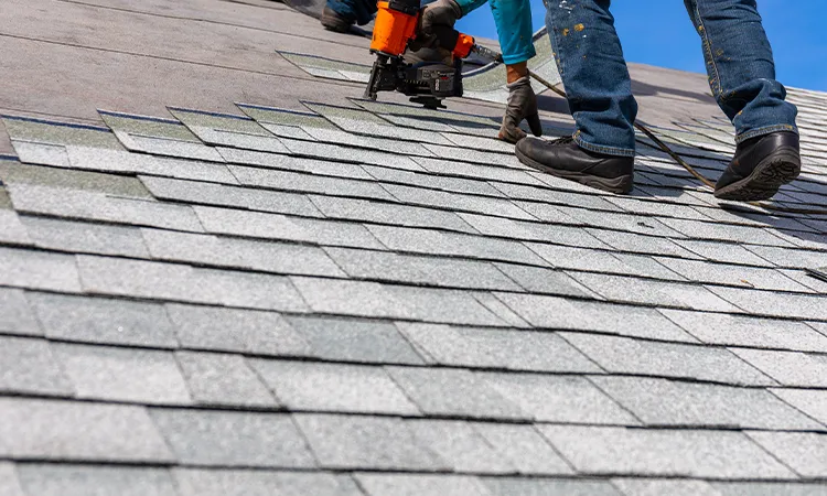 shingle repair and replacement services
