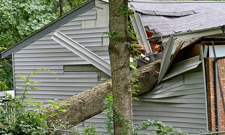 storm damage experts in Minnesota